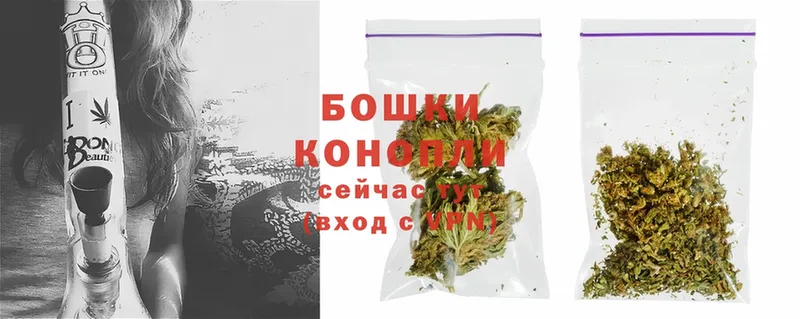 darknet телеграм  где купить наркоту  Высоцк  Канабис White Widow 